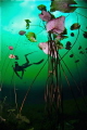   Underwater lily ballroom Cenote Car Wash Aktun Ha  